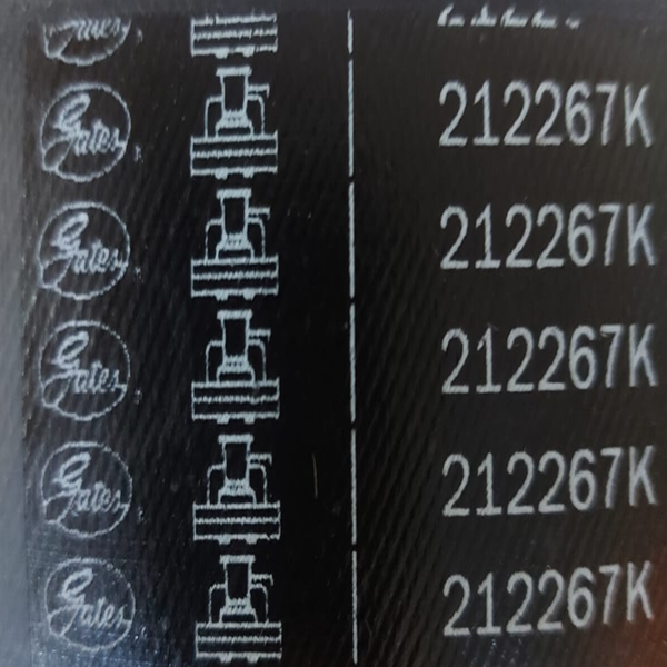 Correia Lisa Primária e Secundária da Tração 212267K Gates - Agro