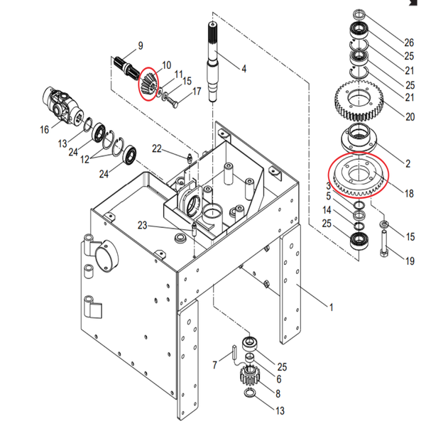 Kit Coroa Z45 e Pinhão Z15 Para Ensiladeira Nogueira Pecus 9004